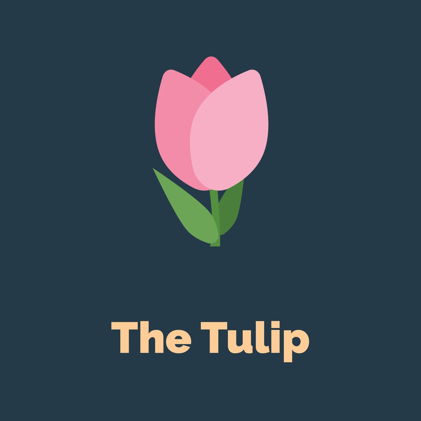The Netherlands Keychain | Tulip
